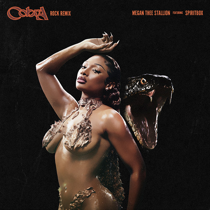 Cobra - The Official Rock Remix by Megan Thee Stallion ft. Spiritbox