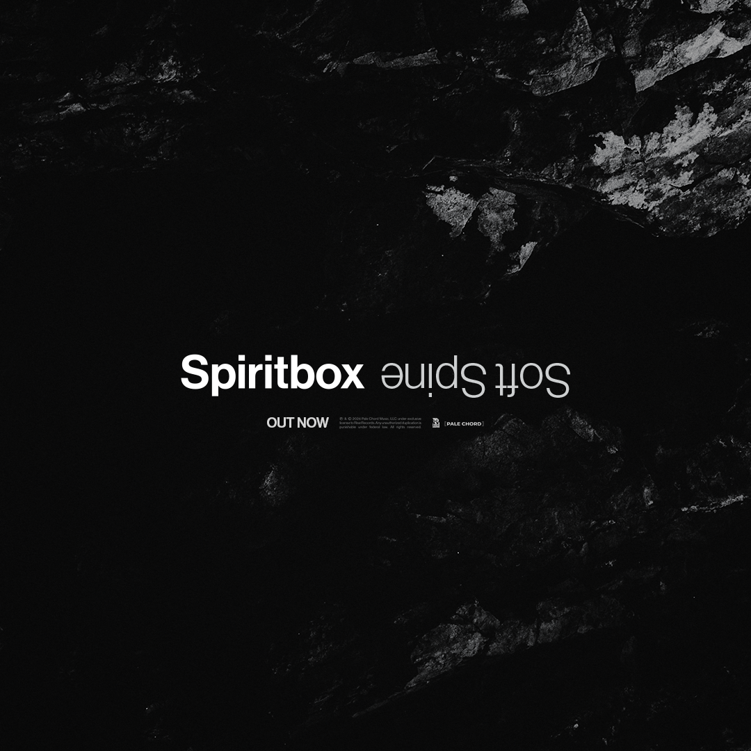 New Single - Soft Spine