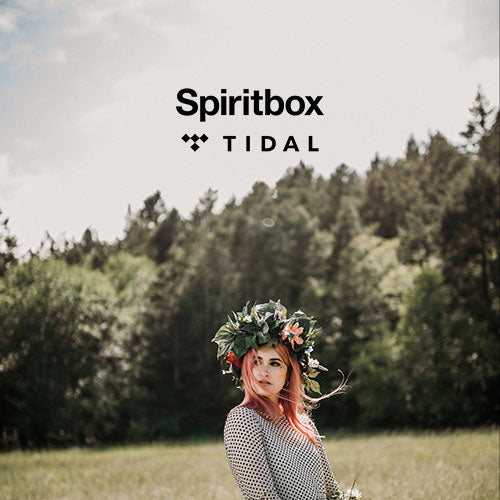Spiritbox + Tidal